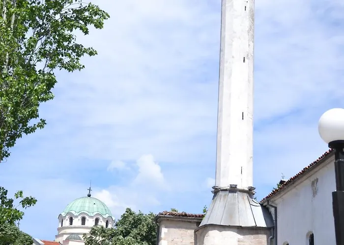 Апартаменты Stylish Three Bed Видин